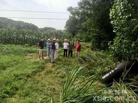 固基防汛，路橋公司全力保障公路暢行